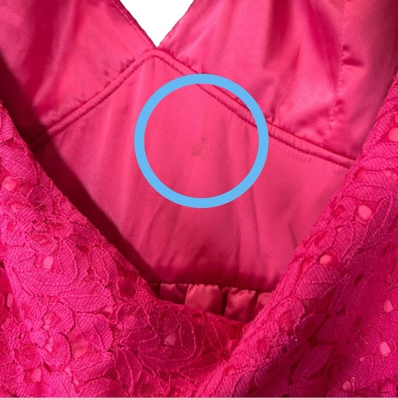 Lovers + Friends - NWT, Women’s Mini Lace ‘Rosanna’ Dress - Paradise Pink Medium - Picture 15 of 17
